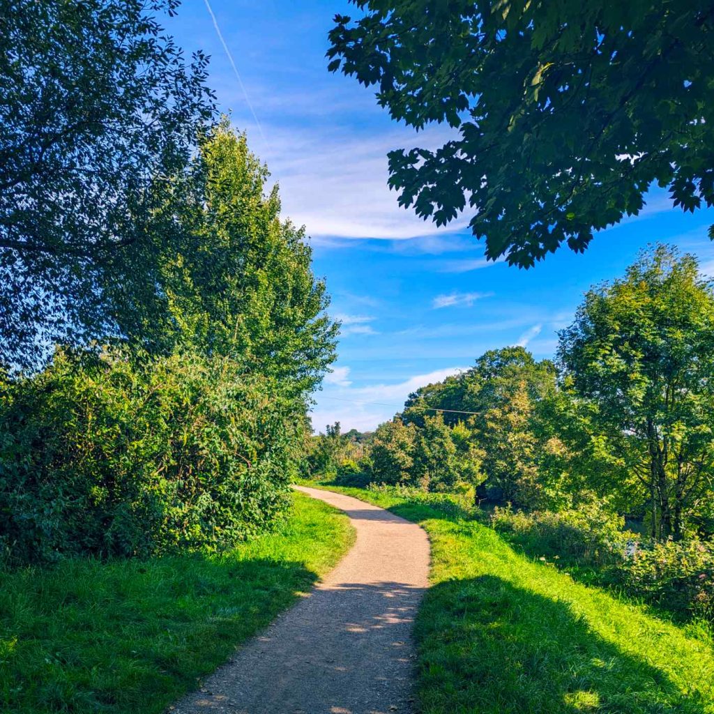 Footpath next to river with trees and blue sky