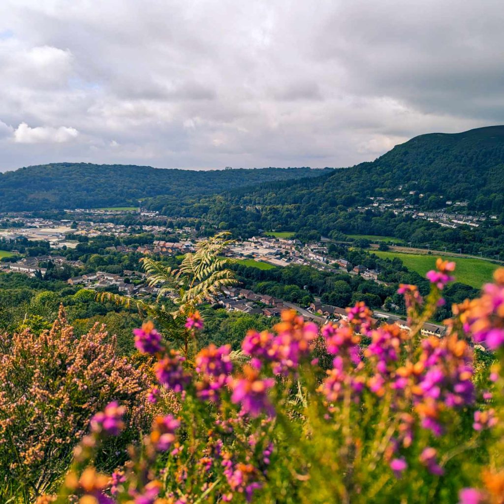 View of the Garth with flowers in the foreground