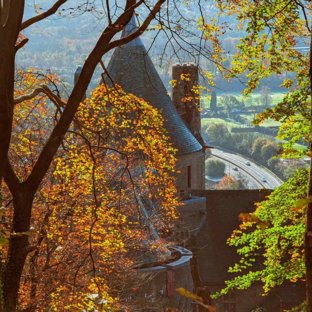 View of Castell Coch behind autumn trees with a road in the background