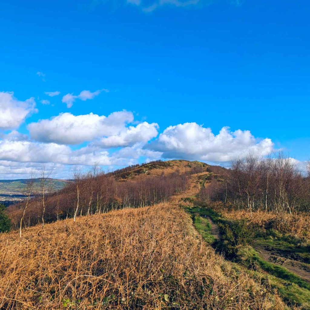 View of a footpath winding up towards the top of a hill.
