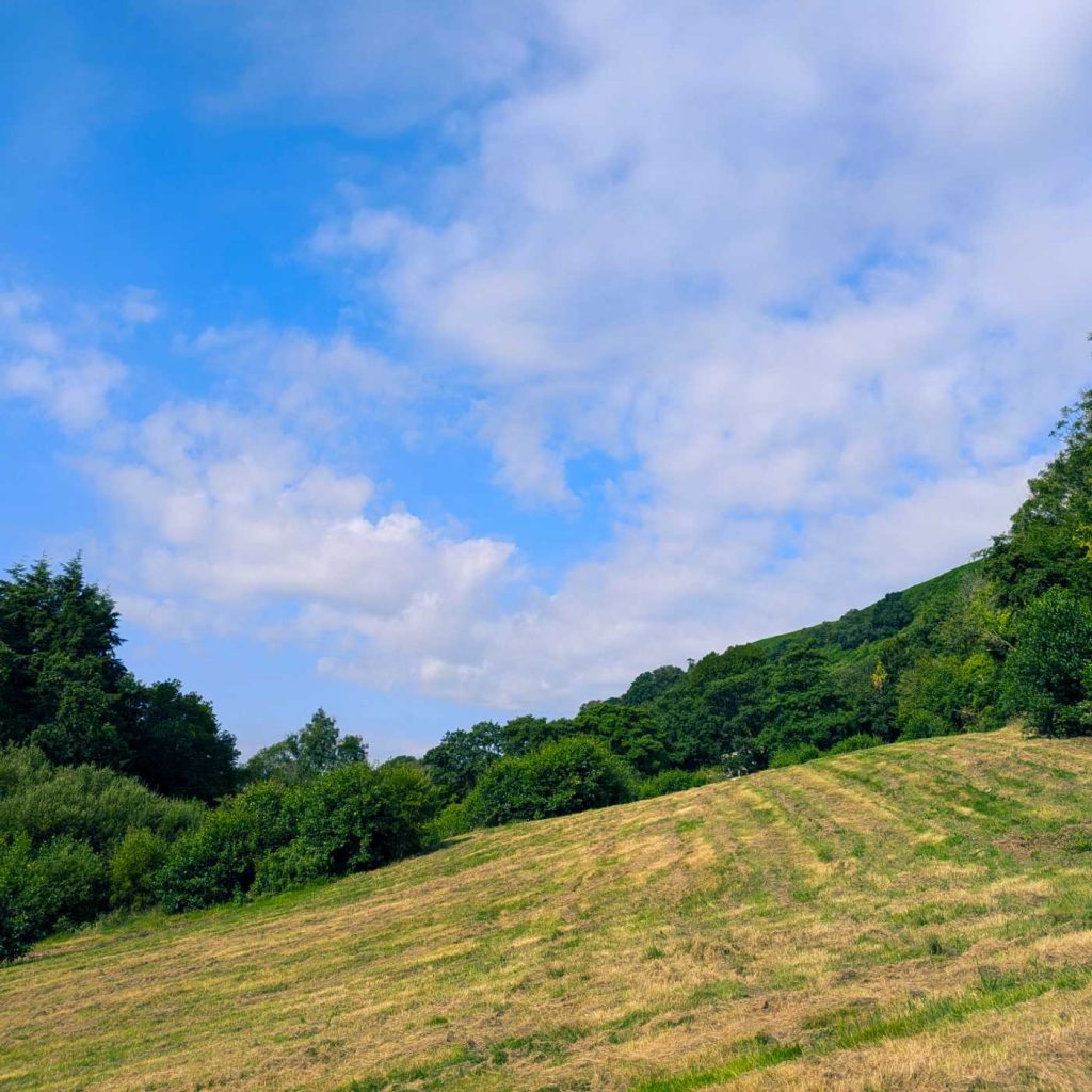 View across field with blue sky and white clouds