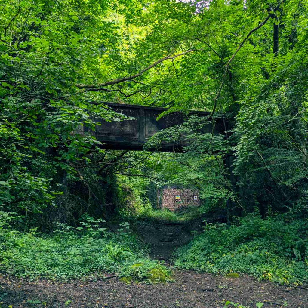 Old bridge and blocked tunnel in woodland.