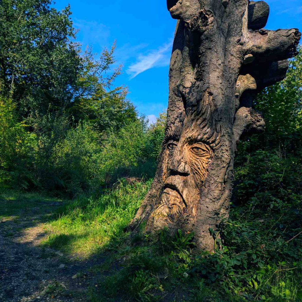A tree stump with face carved into it.