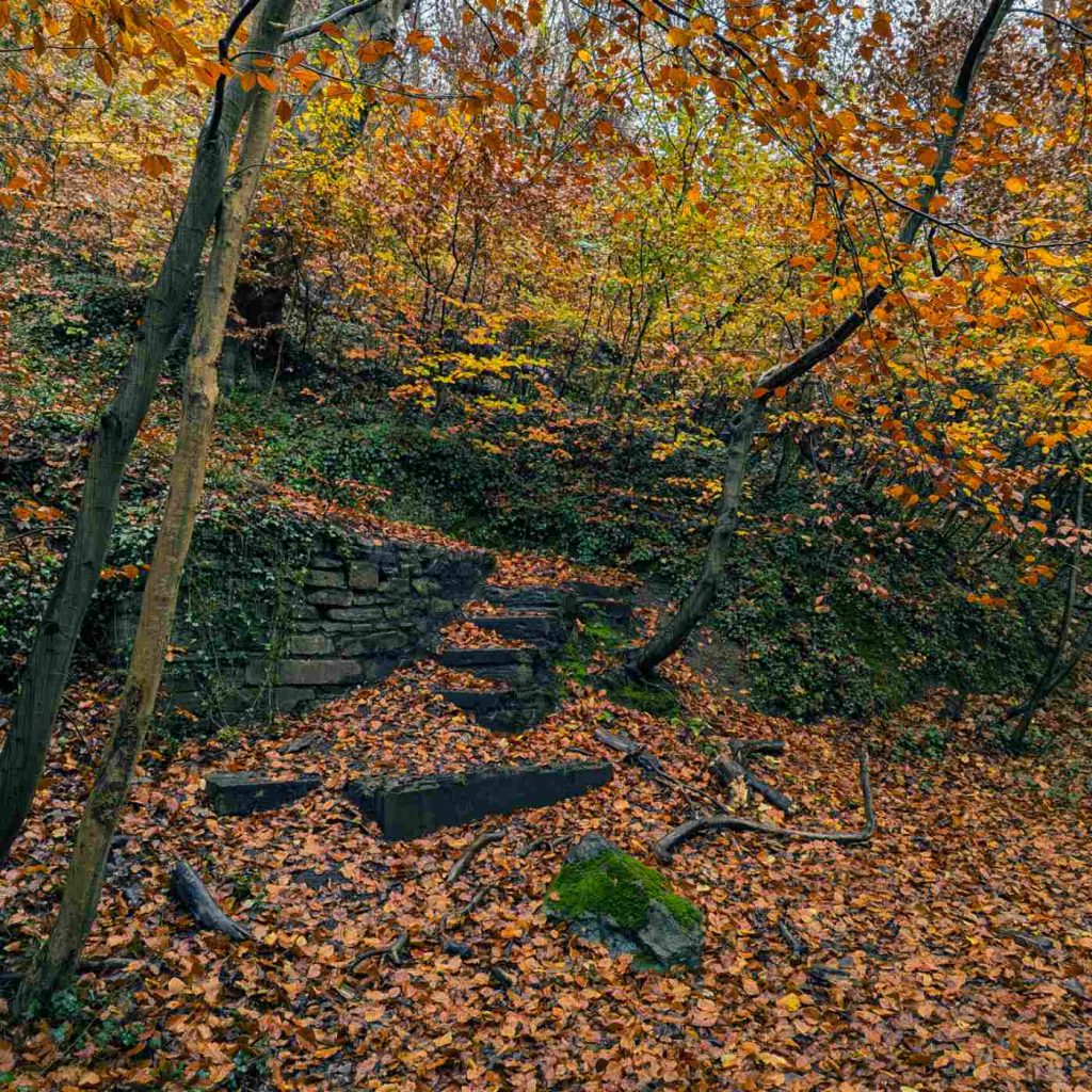 Autumn leaves covering some old stone steps