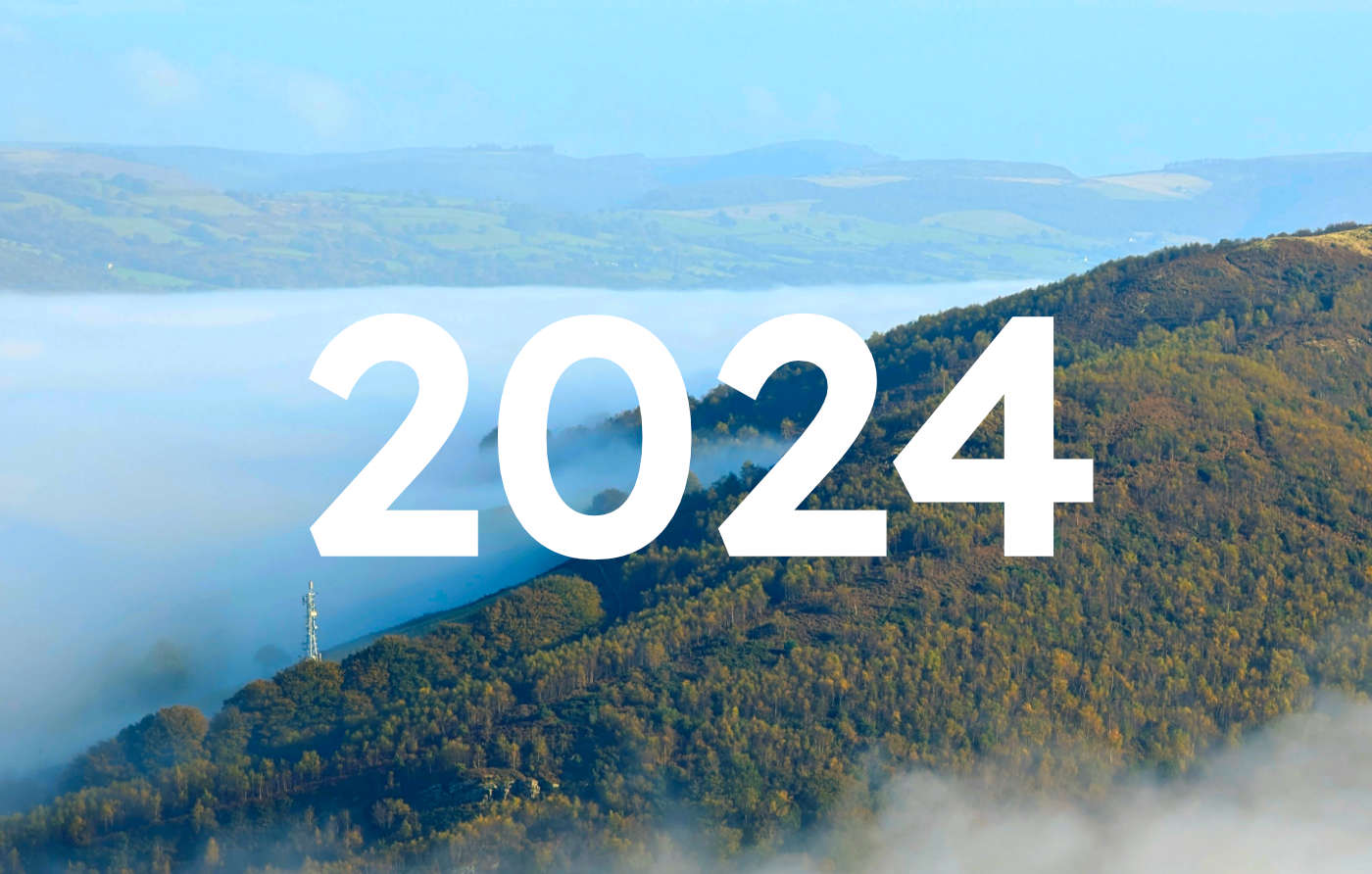 2024 Review