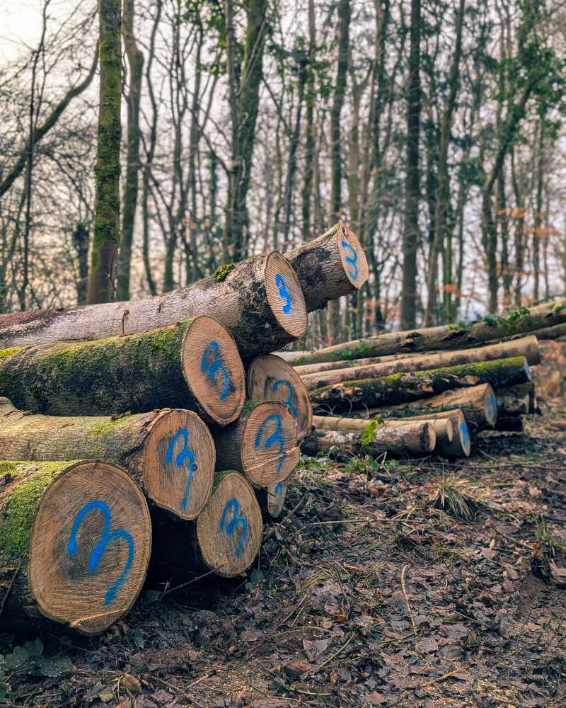 Logs piled on the side of a forest track with numbers painted on the ends.